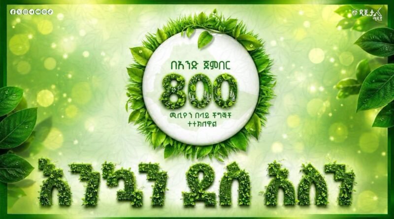 Ethiopia plants 800 million trees in one day