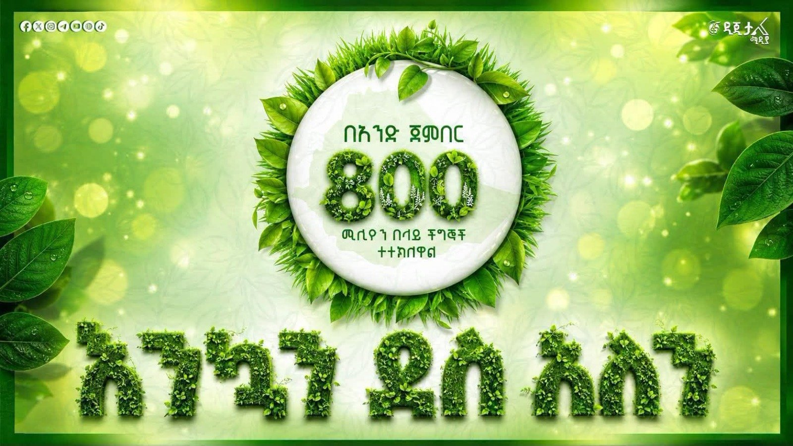 Ethiopia plants 800 million trees in one day