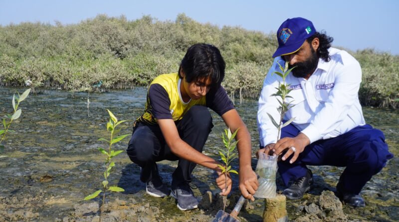 Student leads mangrove plantation drive at Sandspit